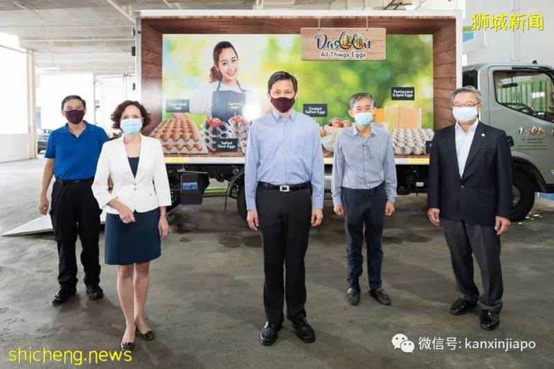 疫情下,新加坡首次與波蘭合作進口新鮮雞蛋!