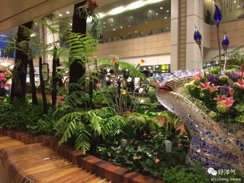 周末畅游：花园城市——新加坡