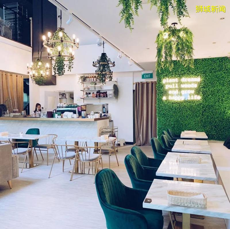 不出国也想要度假的感觉?坡坡有哪些值得打卡的热带花园café