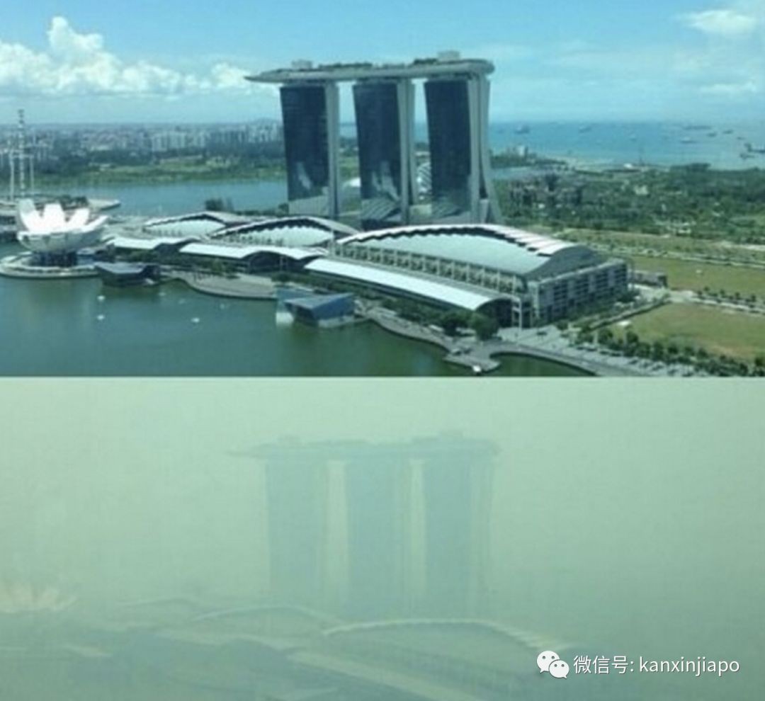 真实！新加坡常驻居民的四季是这样......