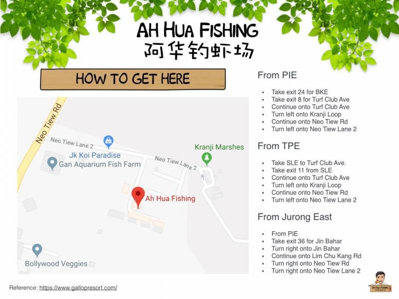 新加坡國民娛樂項目，養生釣蝦約不約？！盤點新加坡好玩的釣蝦場，周末走起吧