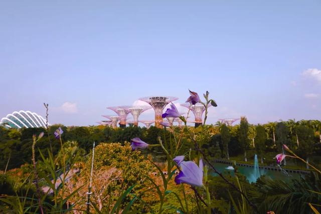 新加坡旅行|6天5晚奇遇狮城的日与夜