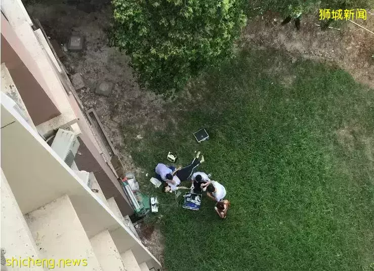中國女子非法滯留新加坡，逃避執法追捕失足墜樓身亡