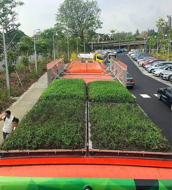 新加坡人对绿色有多着迷？公交车顶种草，大楼里植树，实在绝了