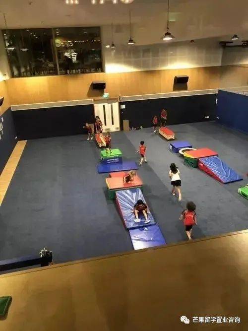 明星贵族都选择的国际学校:新加坡史丹福美国国际学校SAIS