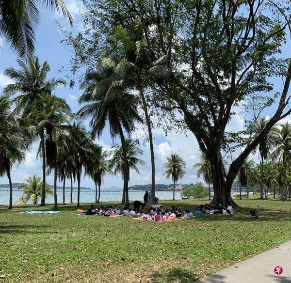 ◤新国CCB◢ 40幼儿园师生野餐 幼儿培育署查是否违规