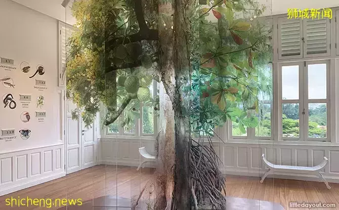 隐藏在葱葱绿树里!新加坡闹市区有个网红景点,百年前竟是大使馆