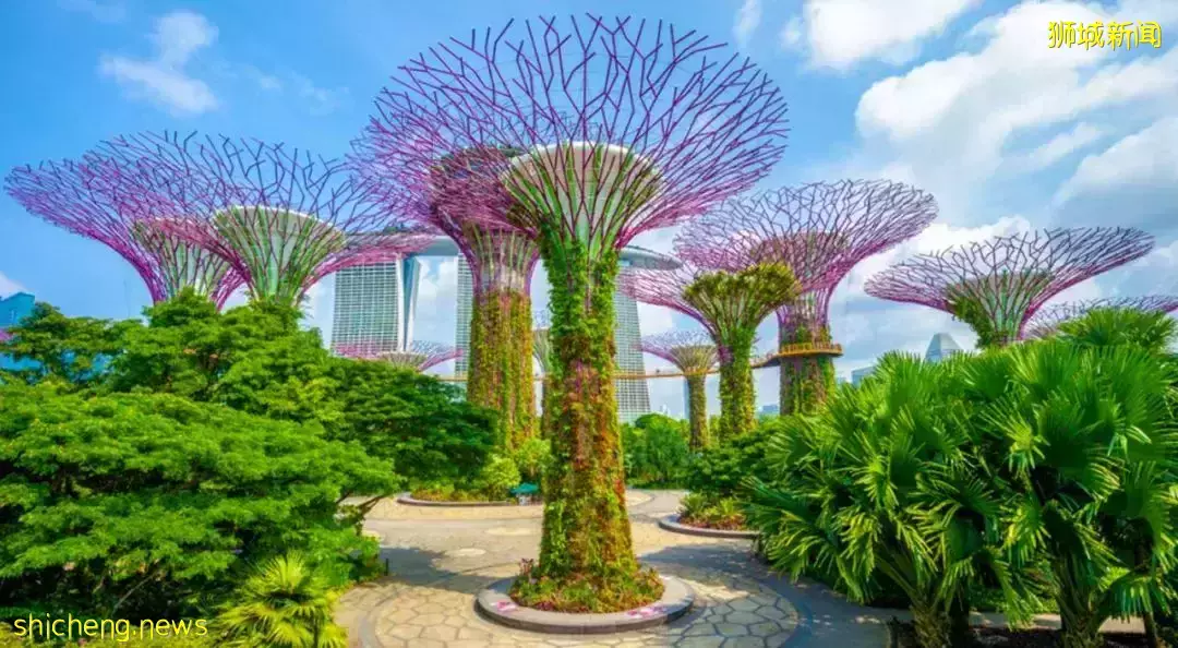 送票啦！藏在滨海湾花园里的超级蹦床，孩子玩到不想回家