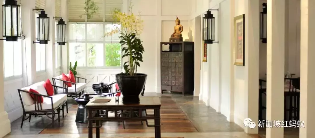 新加坡公園的浪漫,只有去過這些隱藏版特色餐館的人才懂