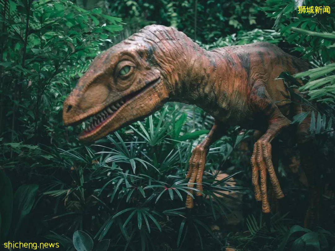 新加坡解封了，這14個活動好玩又安全！線上線下都有