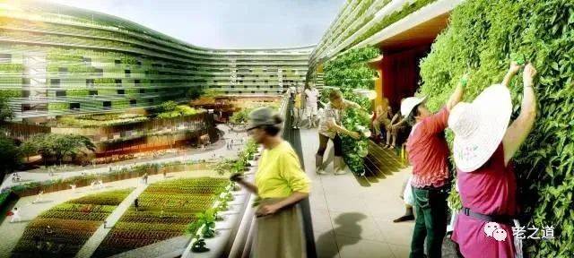 新加坡家庭养老模式的启示