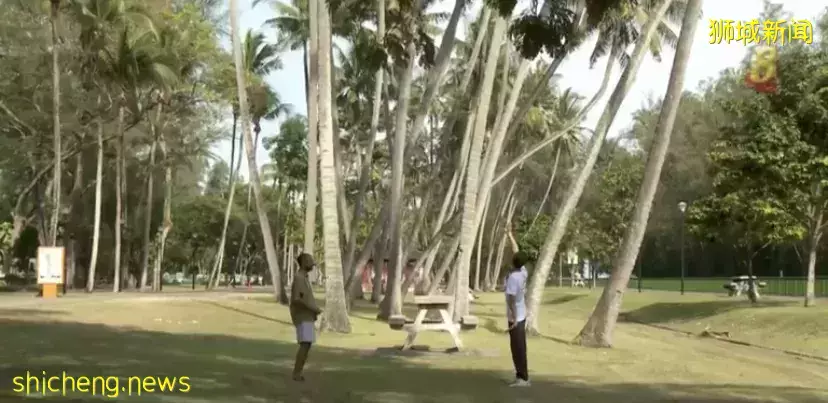 更多年轻人学气功 年长者参与跑酷