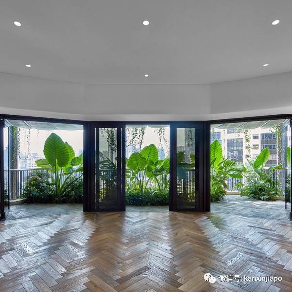 3亿新币买下乌节路整栋20层公寓买家浮出水面,原来是这对父子