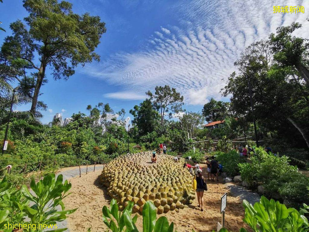 植物園Gallop Extension攻略🌳山脊小徑+戶外遊樂設施+森林探秘館+藝術畫廊、走進大自然