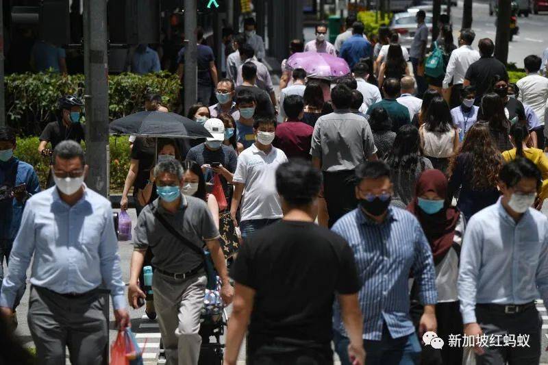 新創職位僅28%成功配對本地員工 因爲新加坡人在“某方面”不合格