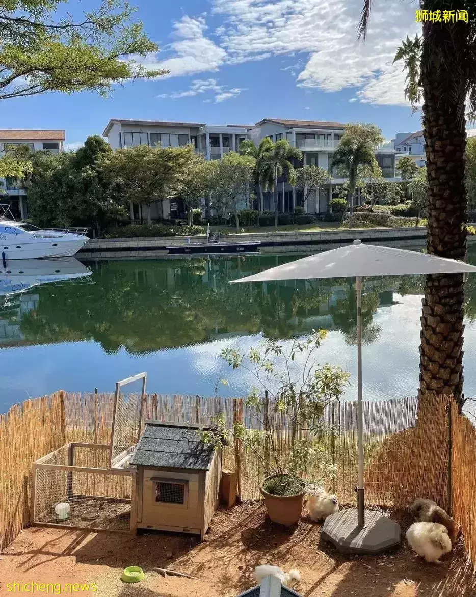 新加坡爱马仕女王“新家”曝光!私人泳池25米、鸡住海景房