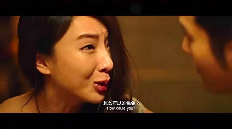 新加坡這種寵物身上,爆發比冠狀更嚴重的病毒