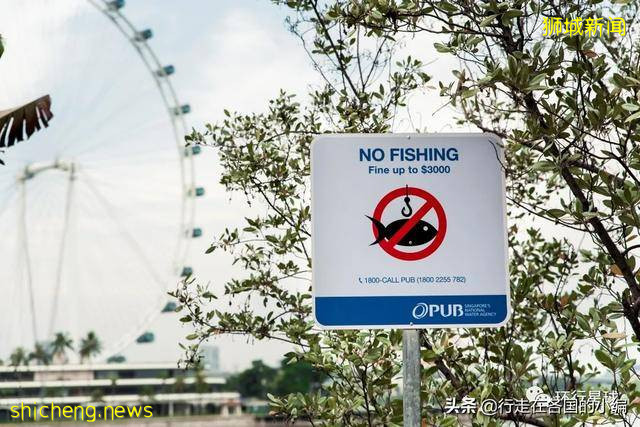 不穿衣服被邻居看到,应该罚款么?爱罚款的新加坡规定你知道多少