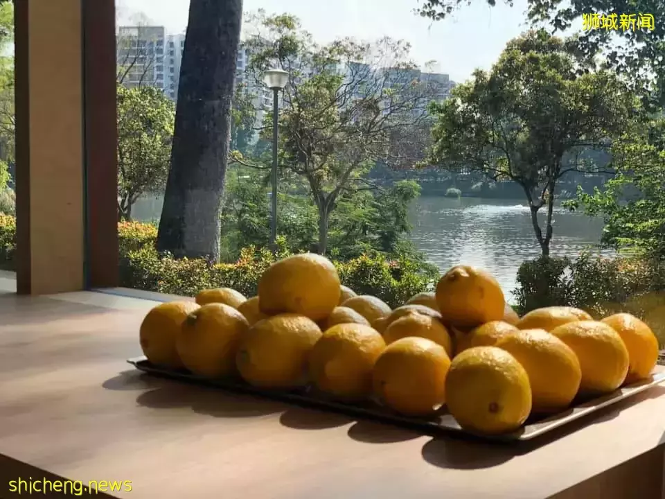 超美水边安静Cafe大盘点!美食美景我全都要