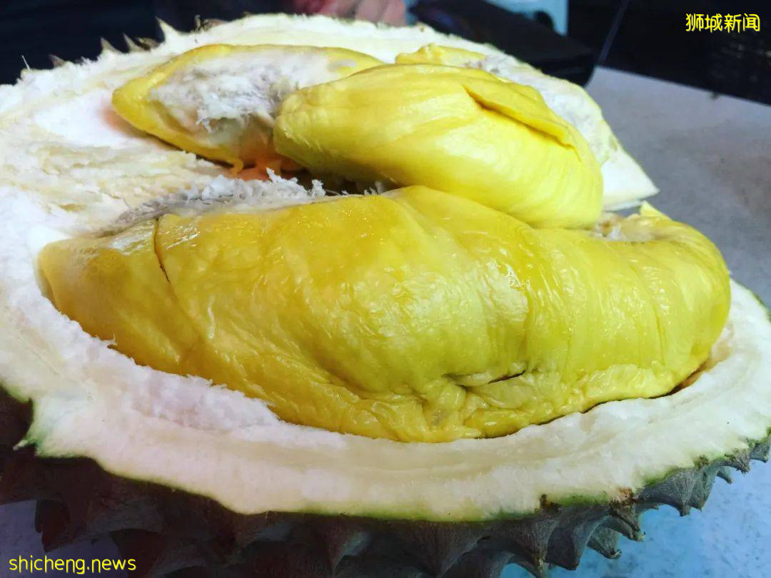 狮城榴梿季拉开序幕!该去哪里组个榴梿局呢