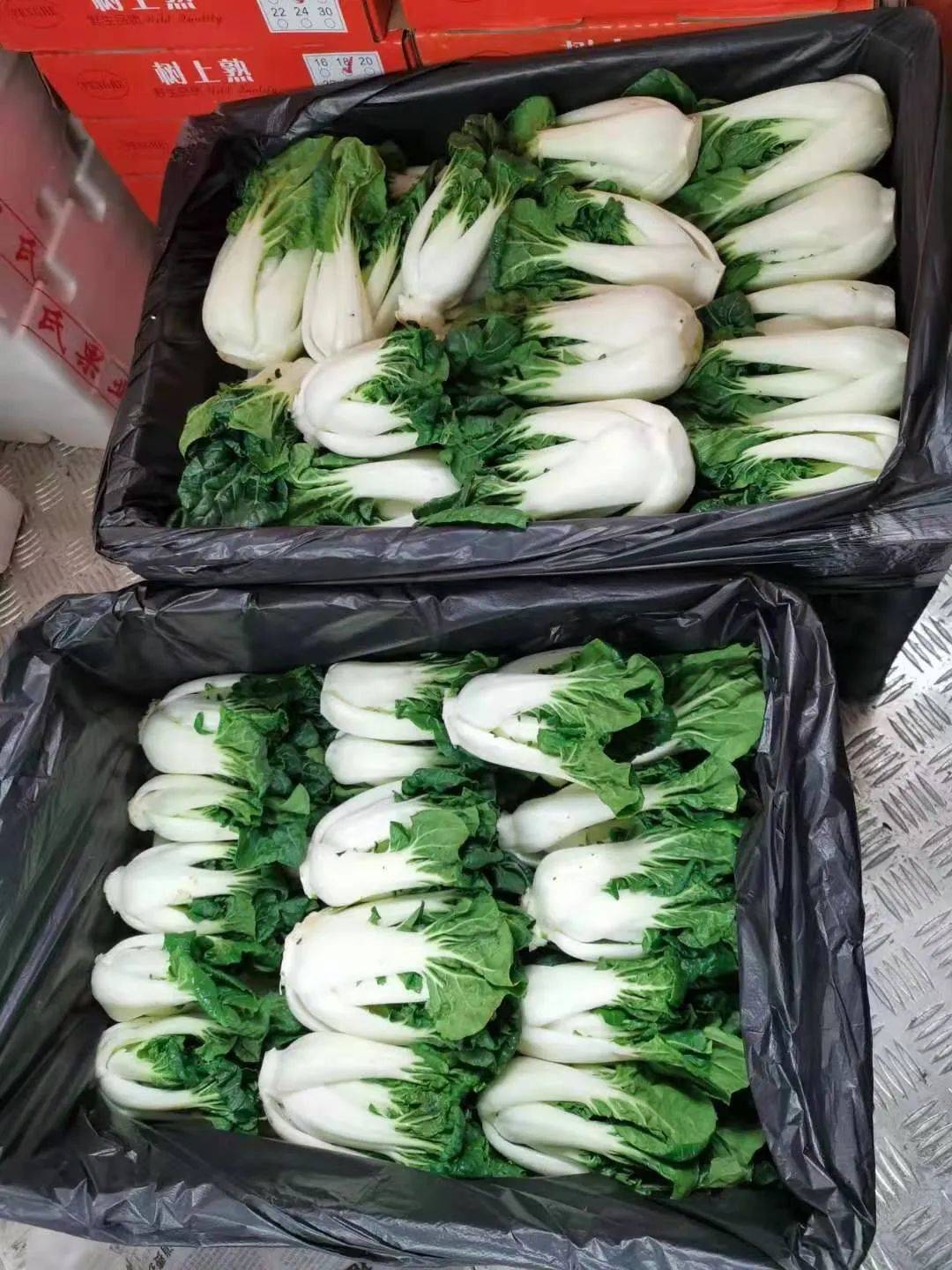 21號新貨到！！！貴妃芒，甯夏菜心，雪裏紅，新鮮百合，新鮮春筍….全國各地新鮮果蔬盡在獅城生鮮直購