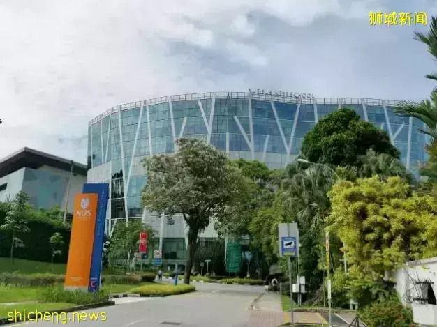 在探索中前行,做好每个选择——读NUS营销分析硕士心得