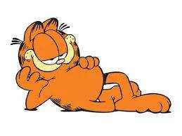 新加坡的这只蟒蛇,活生生吞了一只网红猫