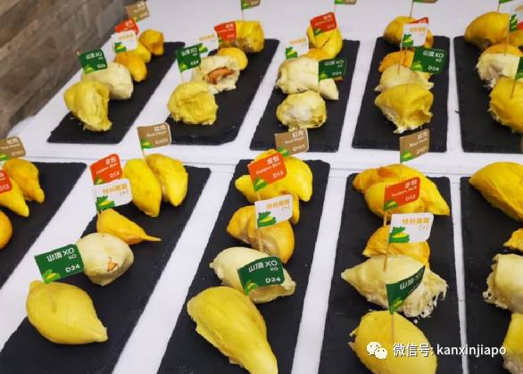 狮城美食探店 马来西亚第一的榴梿主题餐厅,来新加坡搞事情了