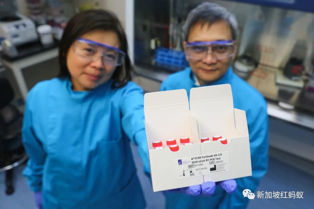 被誉为世上最好的冠病试剂盒之一　也是Made In Singapore