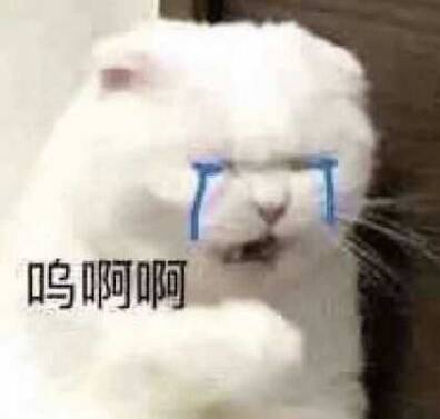 疫情之下的南洋理工大学选择线下教学，你希望上网课吗