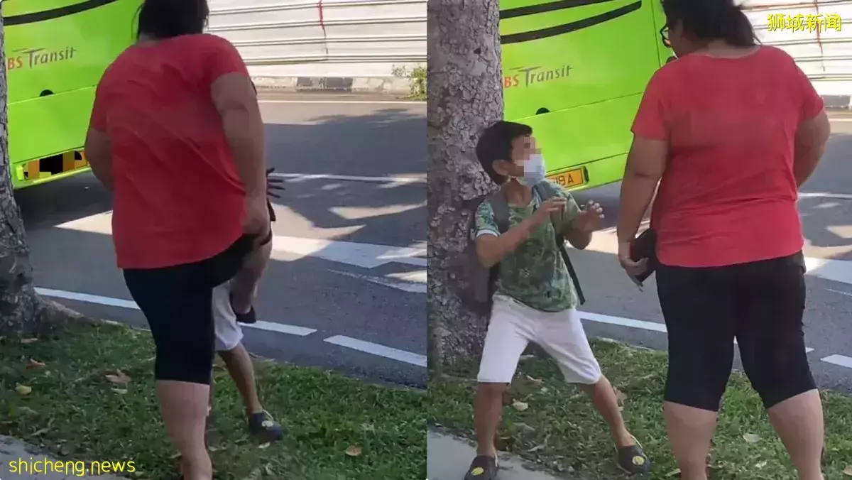妇女当街对男童喊叫还踢他 警方介入调查