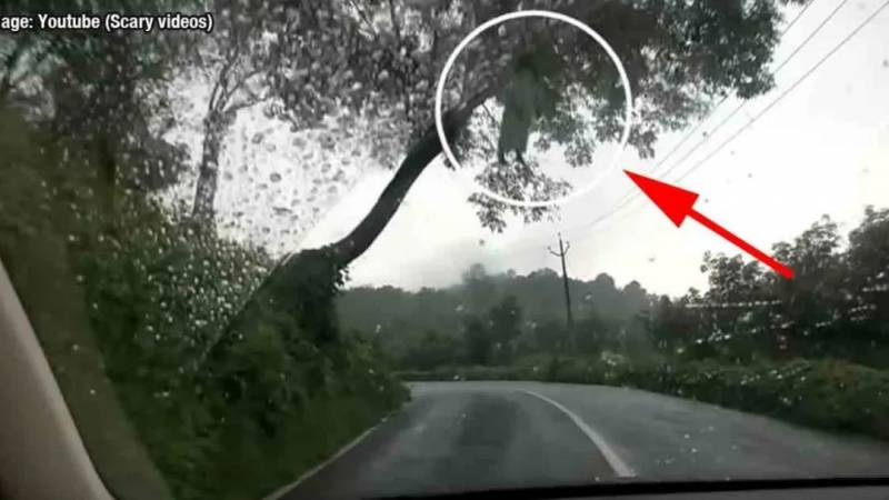 周末去哪兒玩之萬聖節特輯：新加坡萬聖節“鬼混”好去處