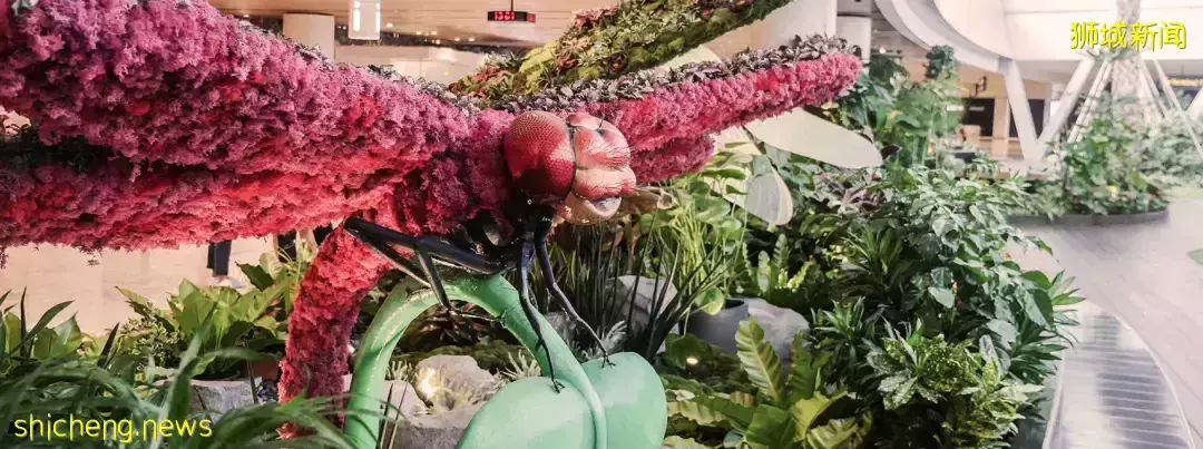 全世界最值得打卡的国家新加坡(下)