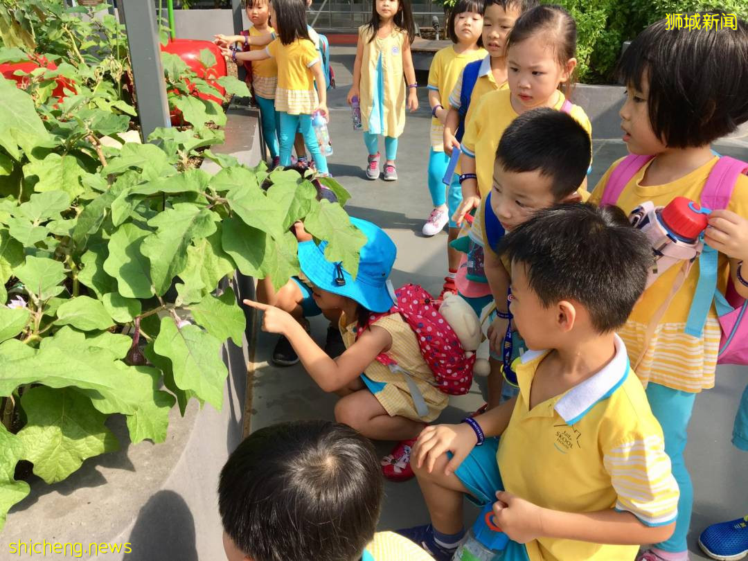 李顯龍總理打Call的超級大商城！開業就5000人擠爆，內附吃喝玩樂攻略