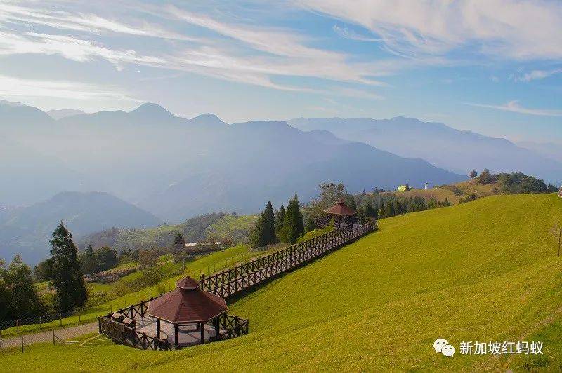 新加坡民众对旅游泡泡计划:既期待又有点怕怕