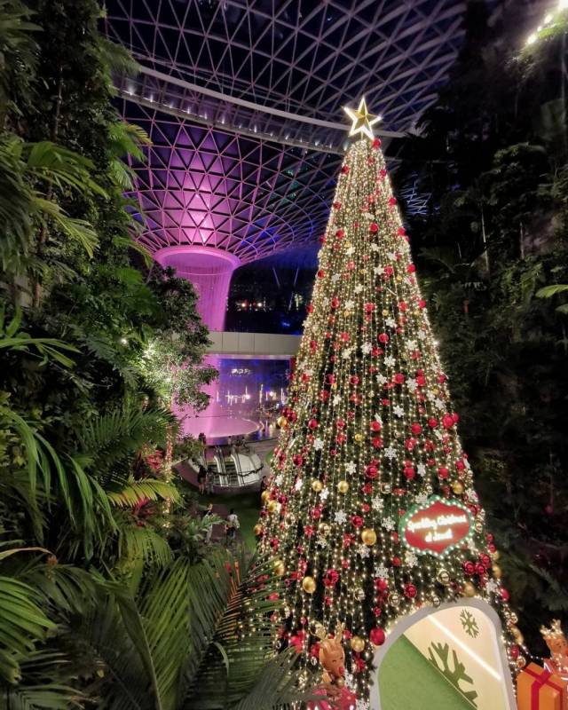 ❄2020新加坡聖誕打卡指南🎄絢麗聖誕樹+巨型摩天輪，拍攝時尚大片的機會到了📷✨
