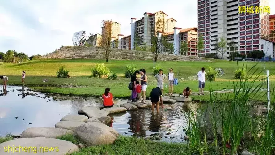 新加坡随处放风筝可能被罚款!6个合法放风筝地点收好不谢