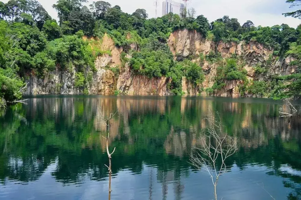 隐藏秘籍！新加坡26条远足路线：寻找长尾猕猴、红毛丹种植园，眺望最美海峡