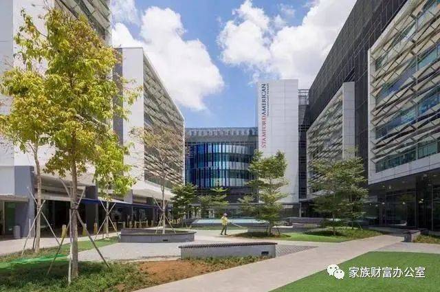 和明星還有駐新外交使節或跨國公司高管的子女做同學？強大朋友圈