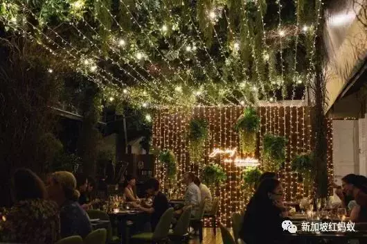 新加坡公園的浪漫,只有去過這些隱藏版特色餐館的人才懂