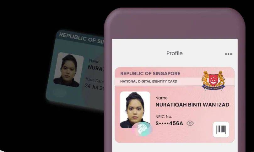 在新加坡生活，這份網上辦事指南太有用了