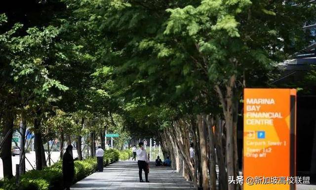 新加坡疫情背景下,裁员后再就业可能吗