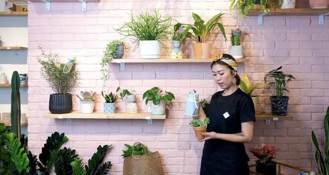 在新加坡哪裏買綠植最合適？走起來