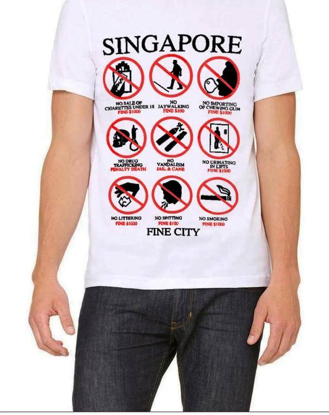 被误解的新加坡