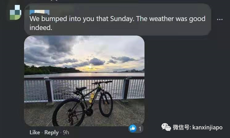 捕获野生李显龙与夫人看大海、逛公园、玩自拍