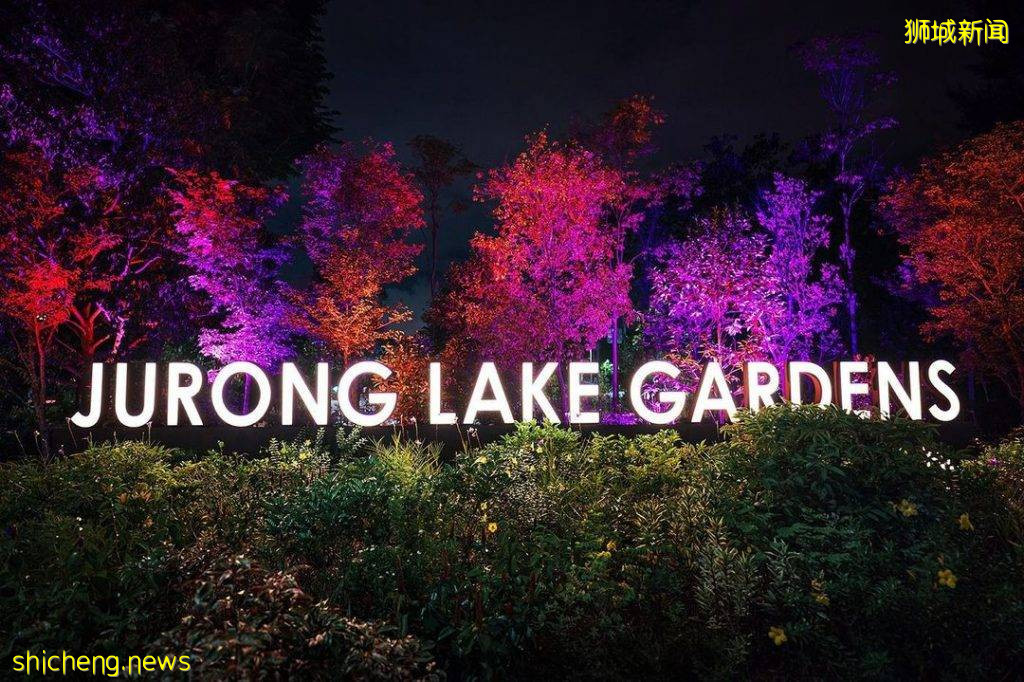 夜太美！Jurong Lake Gardens中秋灯饰、展览至10月3日🏮鲨鱼八爪鱼灯笼、呆萌可爱🐙 