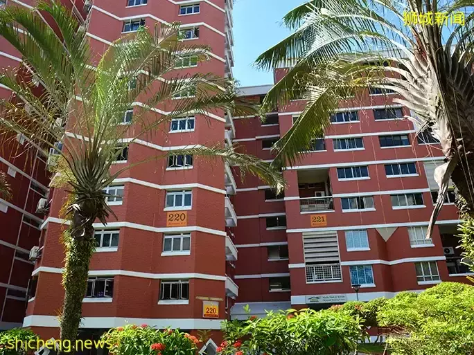 “脏衣服攒到7公斤才能洗,滴水罚钱!新加坡房东还要赶我走?”