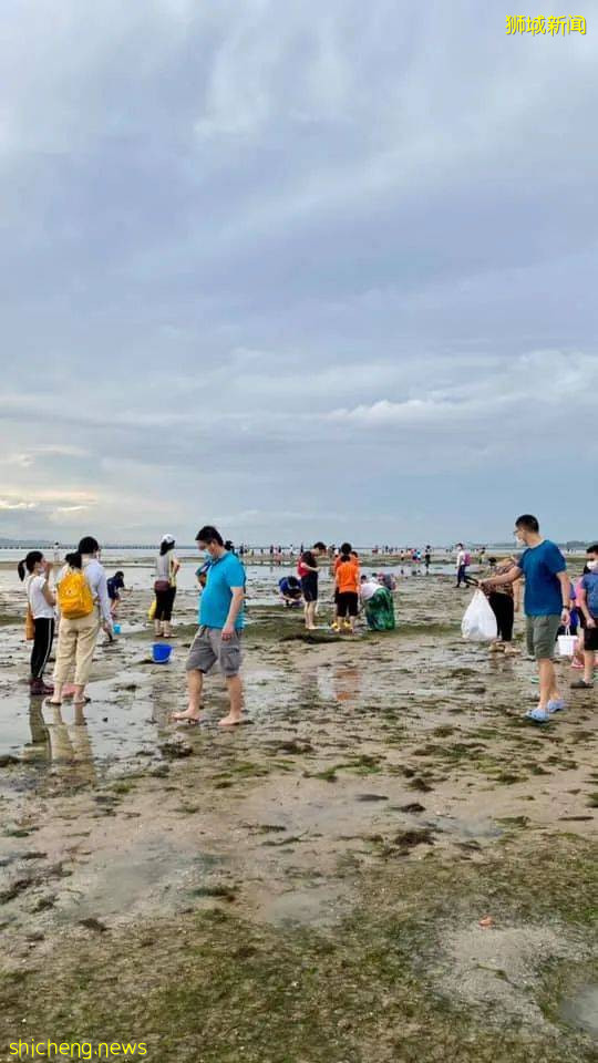 新加坡病例突然反彈,網友吐槽解封太快!學校開學通知來了