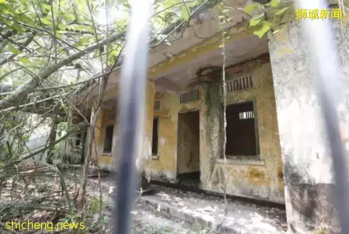 在新加坡的東北部,有個隱秘的小島!不用坐船,每天限時開放