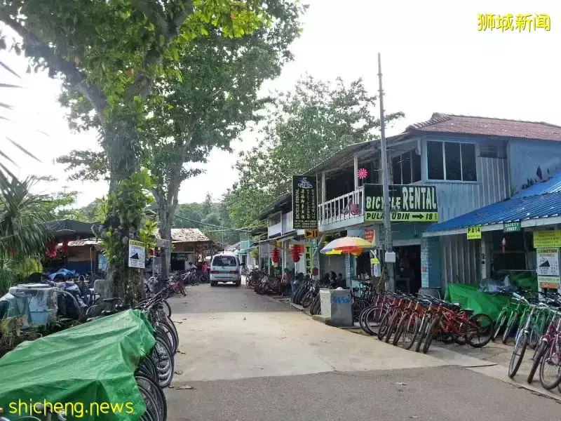 在新加坡的東北部,有個隱秘的小島!不用坐船,每天限時開放